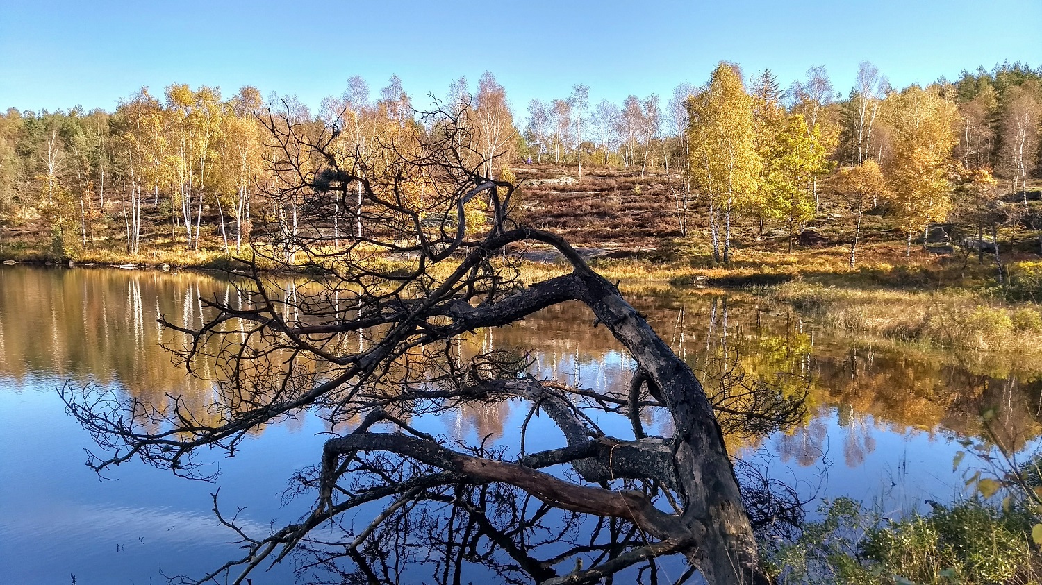 Featured Image for “Stängt 2022”